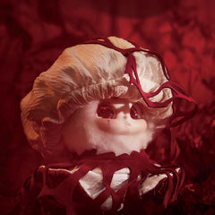 Cino Warm Corner Series Plush Blind Box